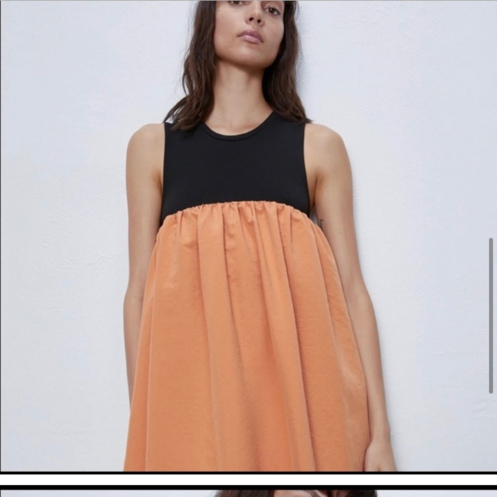 Zara dress